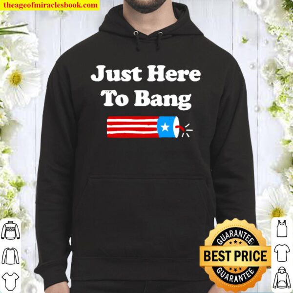 Funny Fourth Of July 4Th Of July Just Here To Bang Hoodie