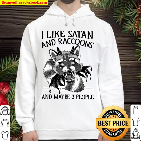I Like Satan And Raccoons And Maybe 3 People Hoodie