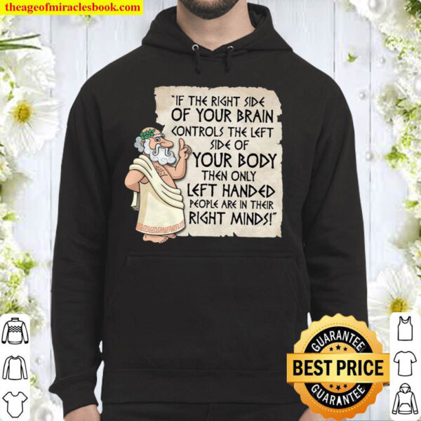If The Right Side Of Your Brain Controls The Left Side Hoodie