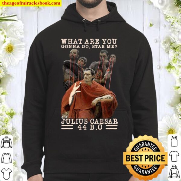 What Are You Gonna Do Stab Me Julius Caesar 44 BC Hoodie
