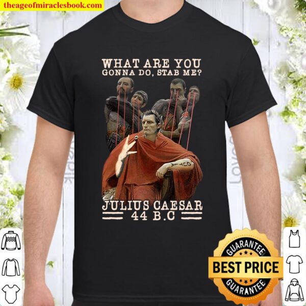 What Are You Gonna Do Stab Me Julius Caesar 44 BC Shirt