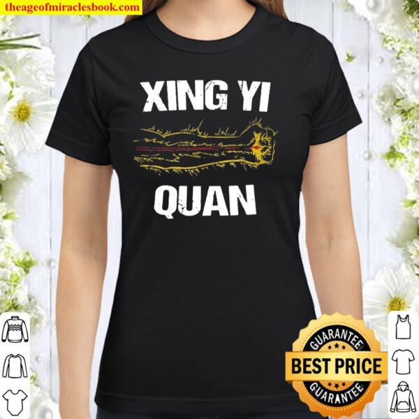 Xingyi Qigong Energy Internal Martial Arts Xing Yi Training Classic Women T-Shirt