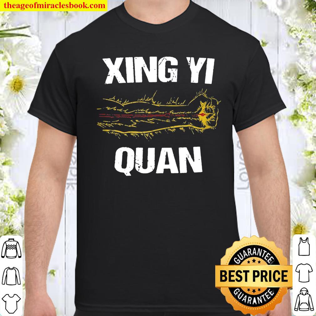 Xingyi Qigong Energy Internal Martial Arts Xing Yi Training shirt