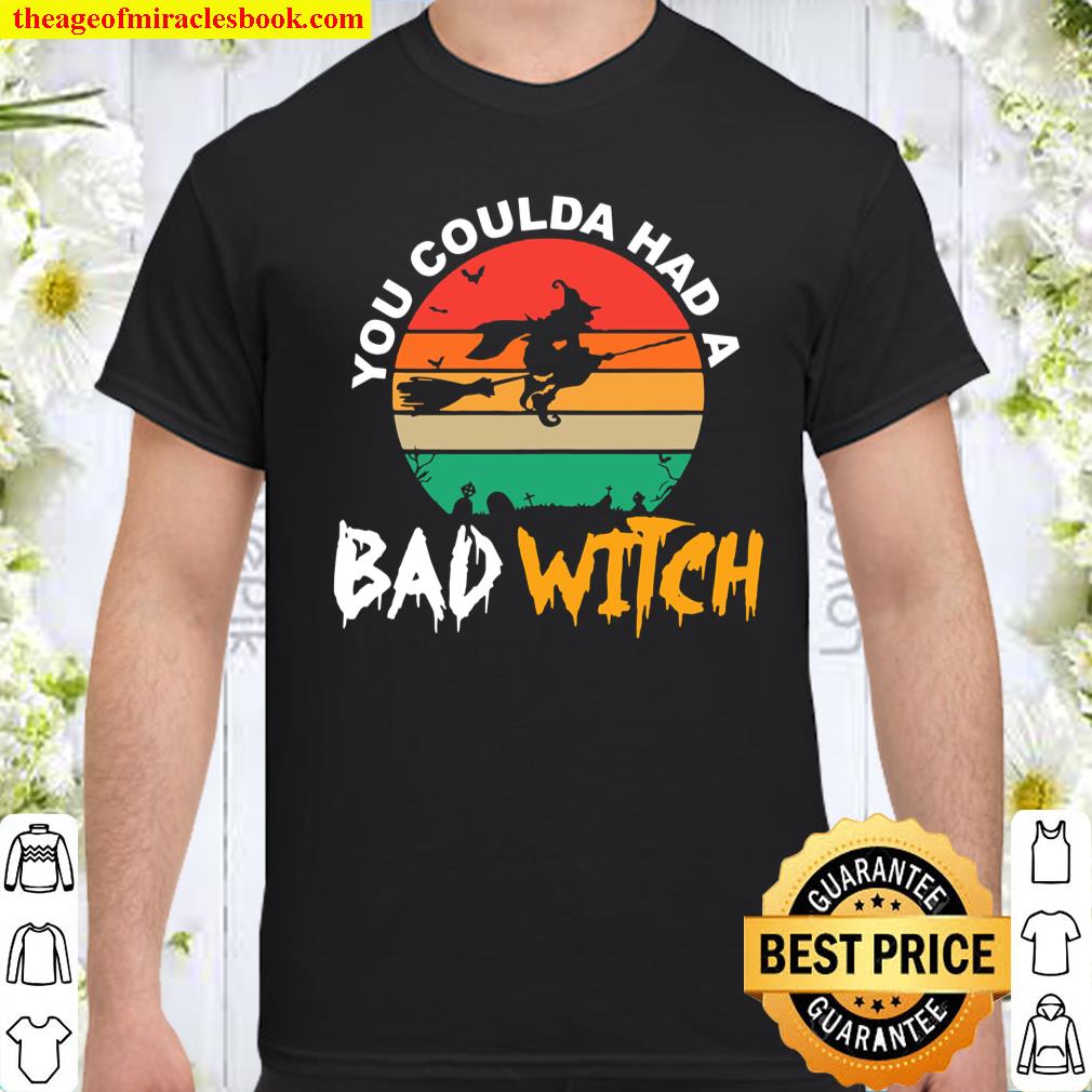 You Could Have Had A Bad Witch Funny Halloween Witch shirt