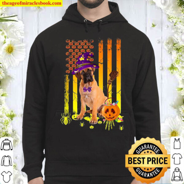 Bullmastiff Pumpkin American Flag Halloween Dog Hoodie