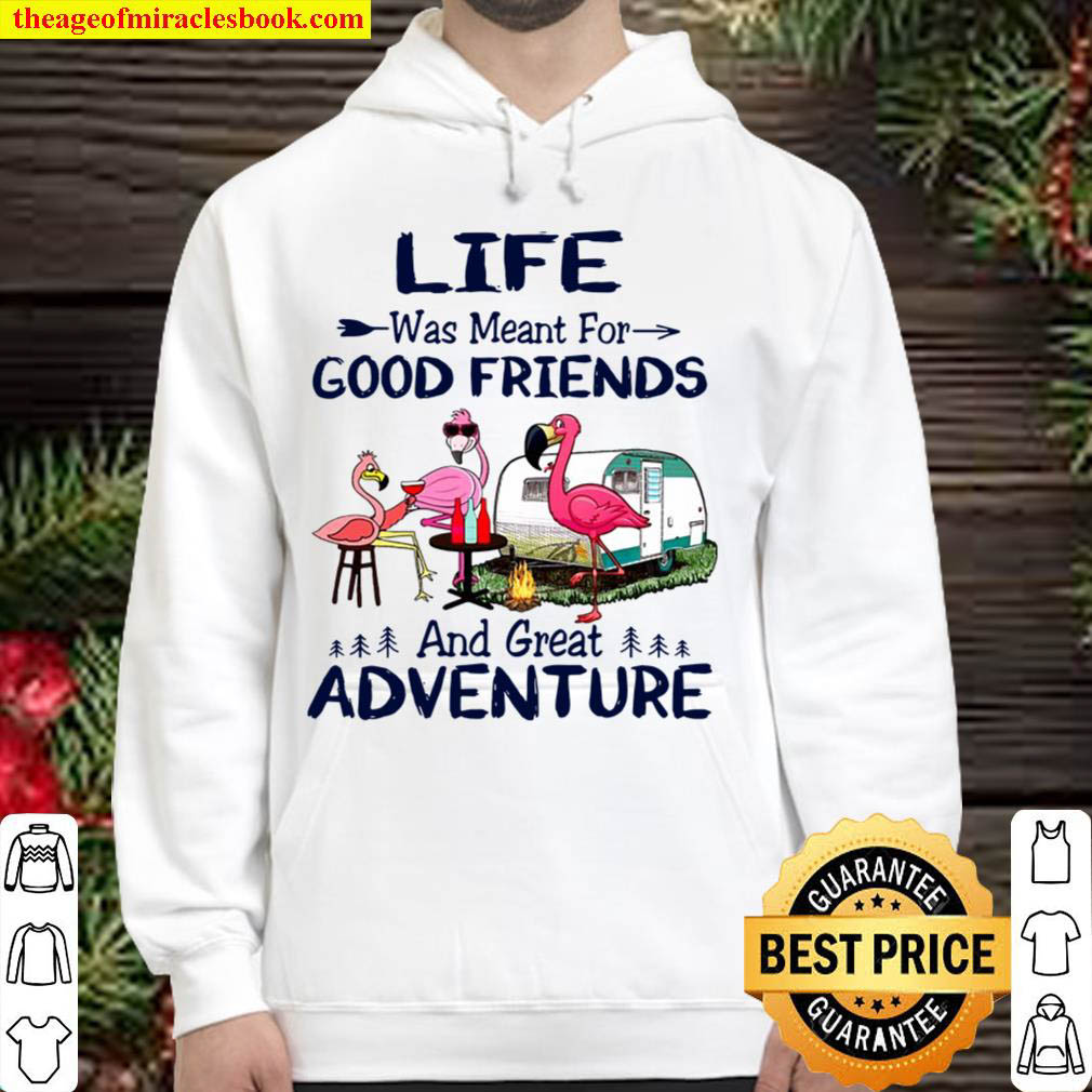 Camper Life Was Meant For Good Friends And Great Adventure Girl Gang C Hoodie