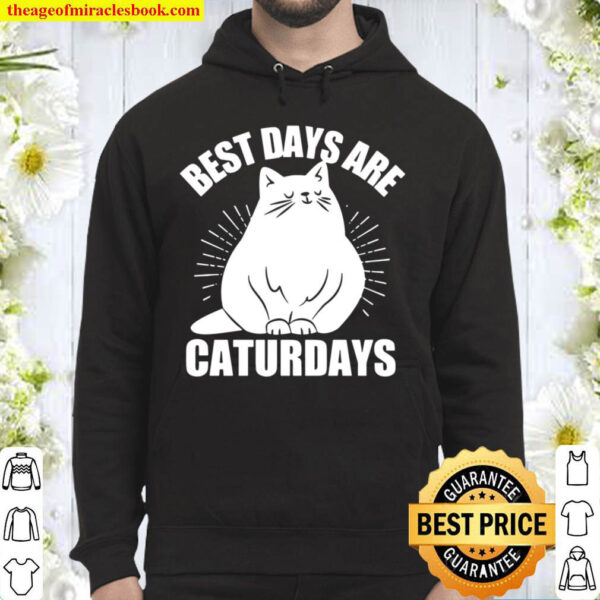 Cute Fluffy Cat Puns for Cat Owners Hoodie