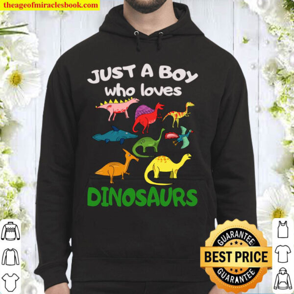 Just A Boy Who Loves Dinosaurs Shirt Kids Dinosaur Lovers Hoodie
