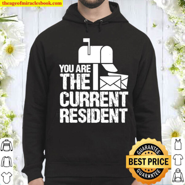 Mail Carrier Shirt – You Are The Current Resident Hoodie