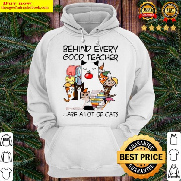 Behind Every Good Teacher Are A Lot Of Cats Hoodie