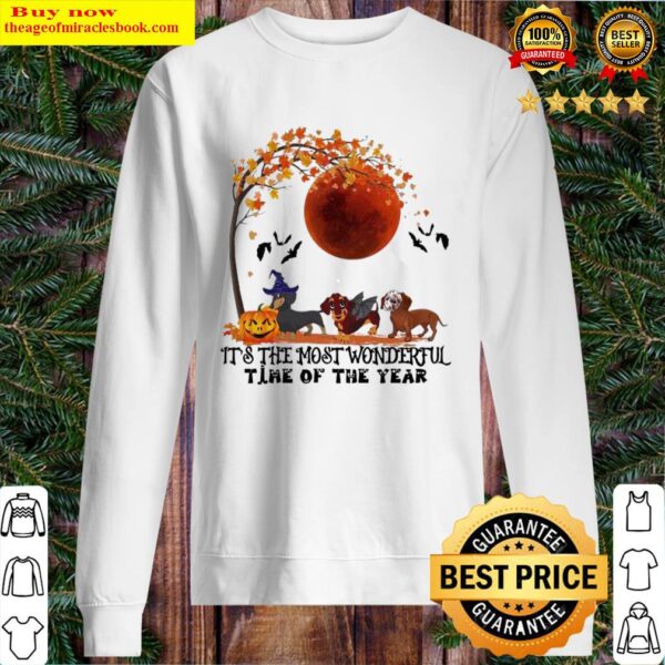 Dachshunds its the most wonderful time of the year Halloween Sweater
