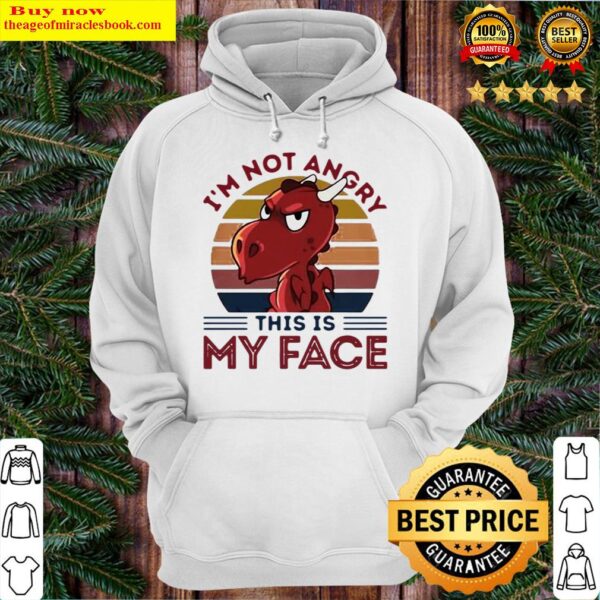 Dragon Im Not Angry This Is My Face Vintage Hoodie