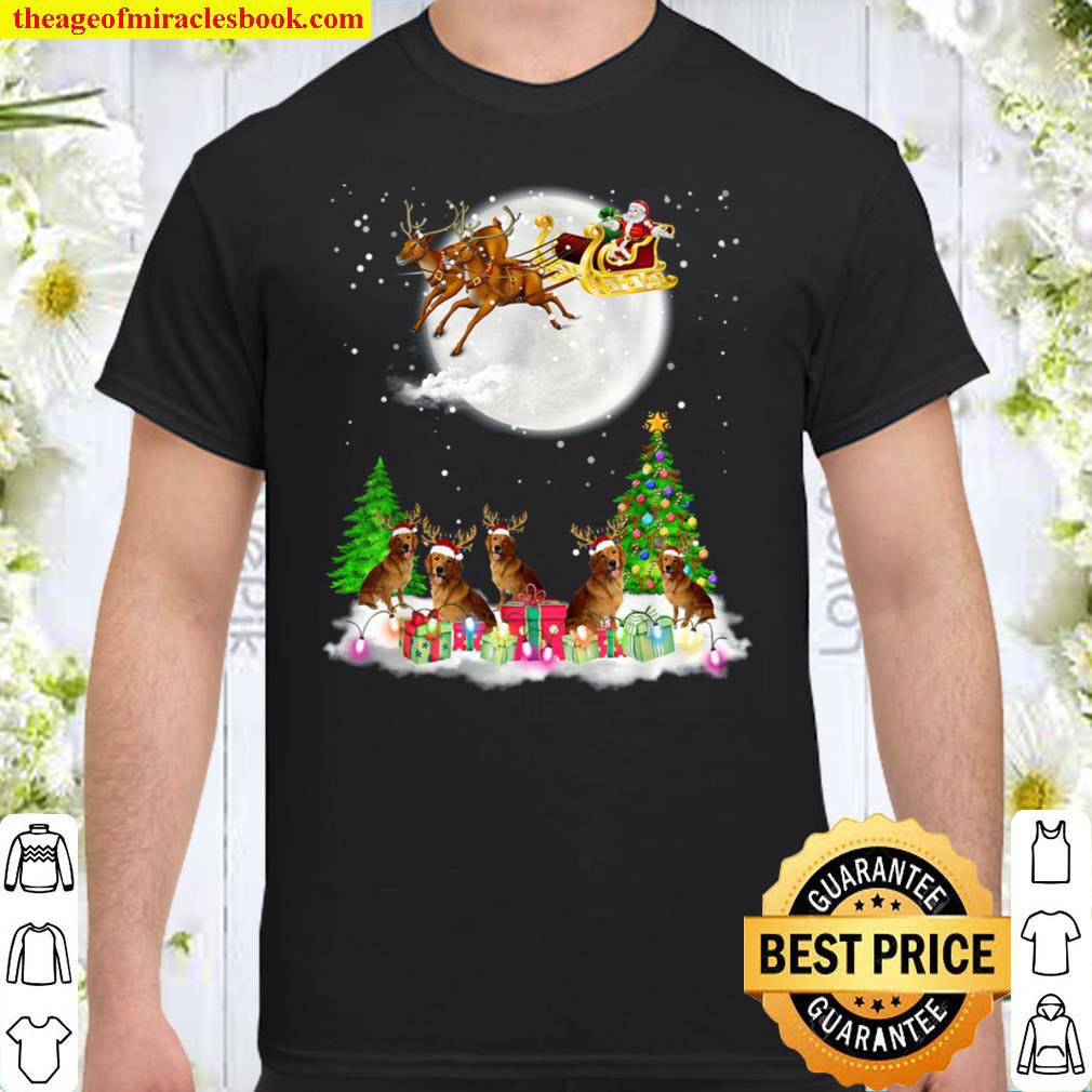 [Best Sellers] – Golden retriever Christmas Tshirt Reindeer Santa Light Xmas T-Shirt