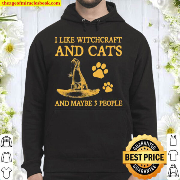 I Like Witchcraft And Cats And Maybe 3 People Hoodie