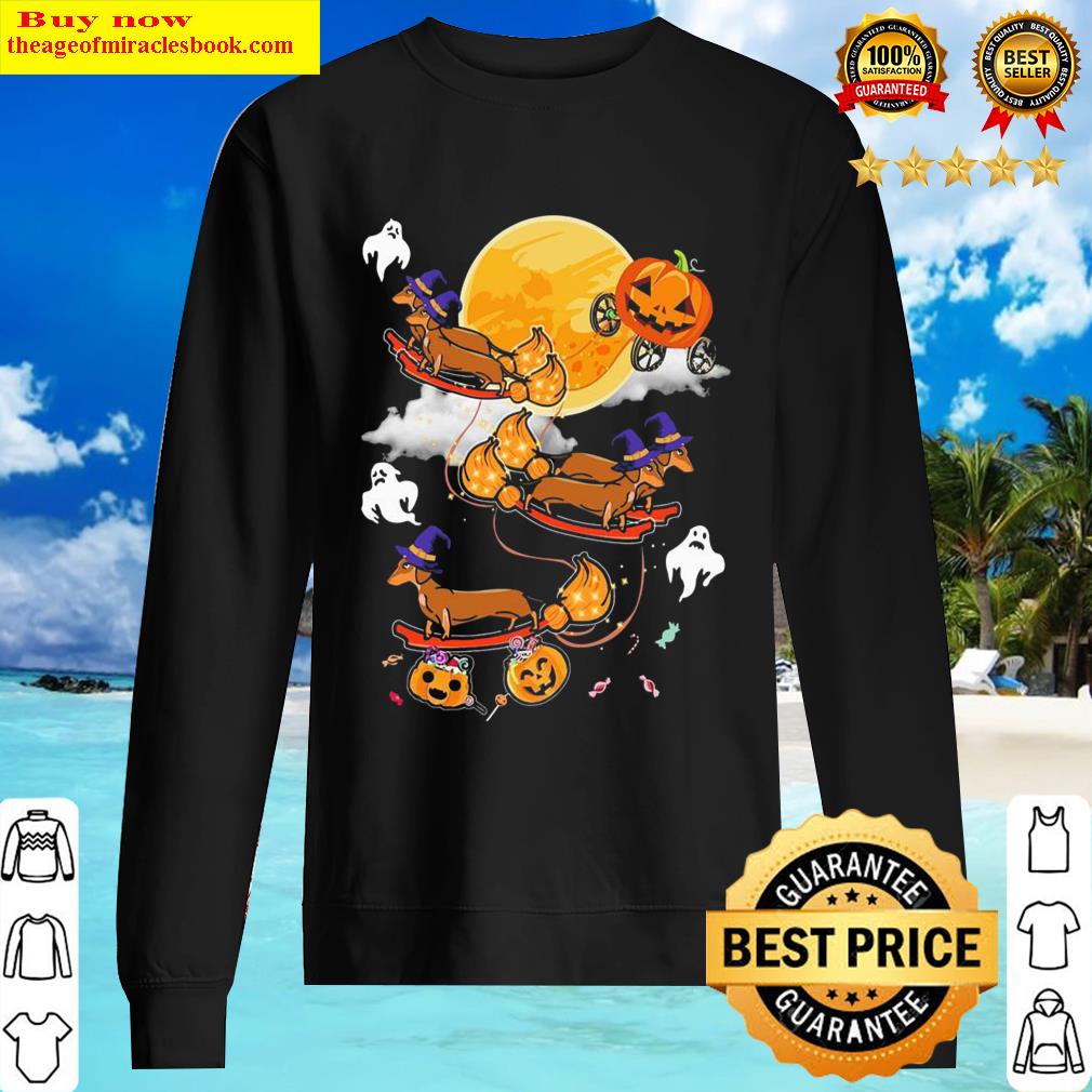 dachshunds witch happy halloween 2021 sweater