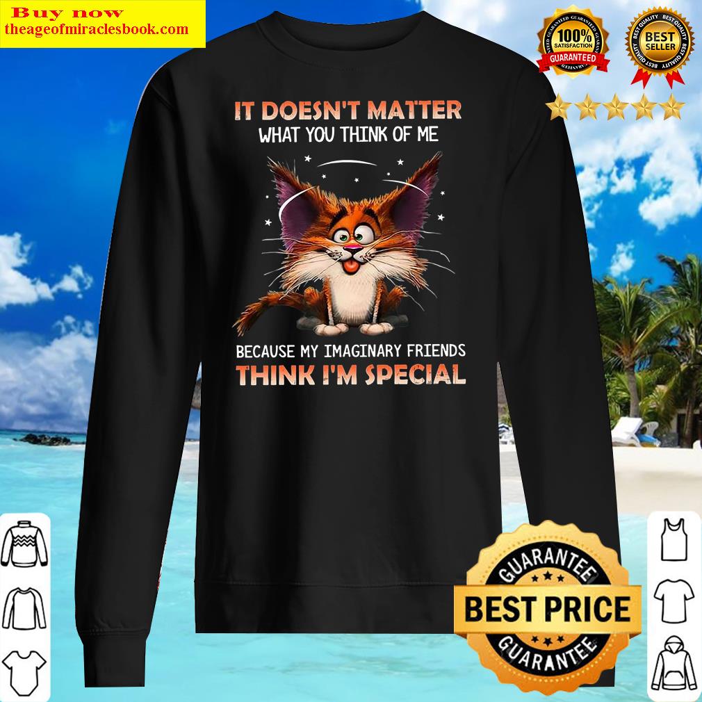 It Doesn't Matter What You Think Of Me Because My Imaginary Friends Cat Shirt Sweater