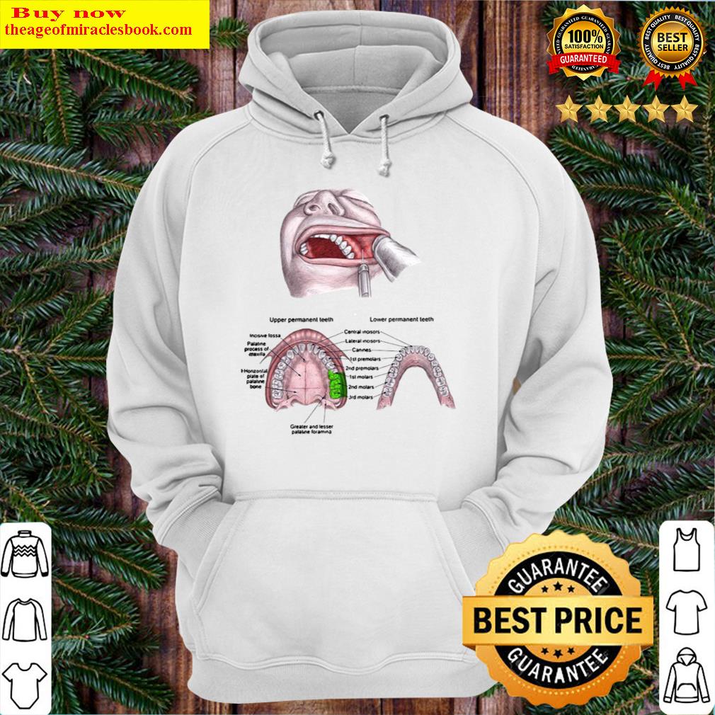 official upper permanent teeth lower permanent teeth greater and lesser palatine foramen hoodie