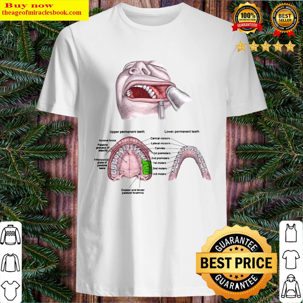 official upper permanent teeth lower permanent teeth greater and lesser palatine foramen shirt