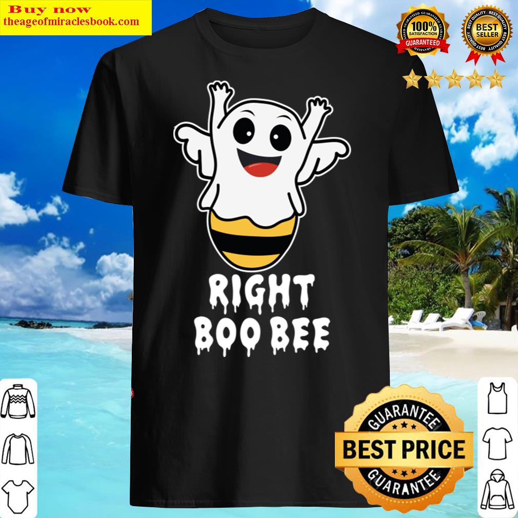 Right Boo Bee – Funny Boo Bees Couples Halloween Costume Shirt