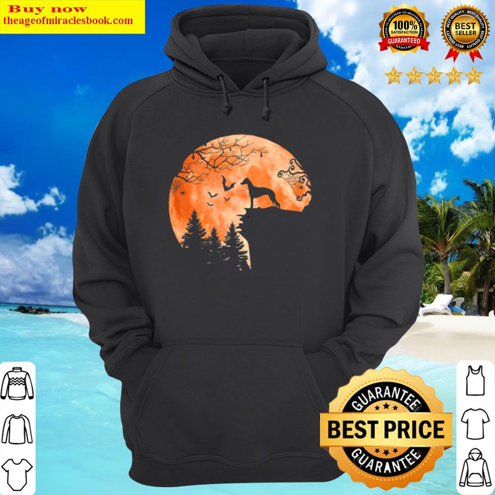 whippet and moon silhouette dog lover halloween hoodie