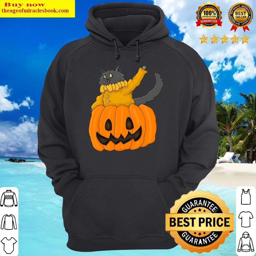 cat in a pumpkin hoodie