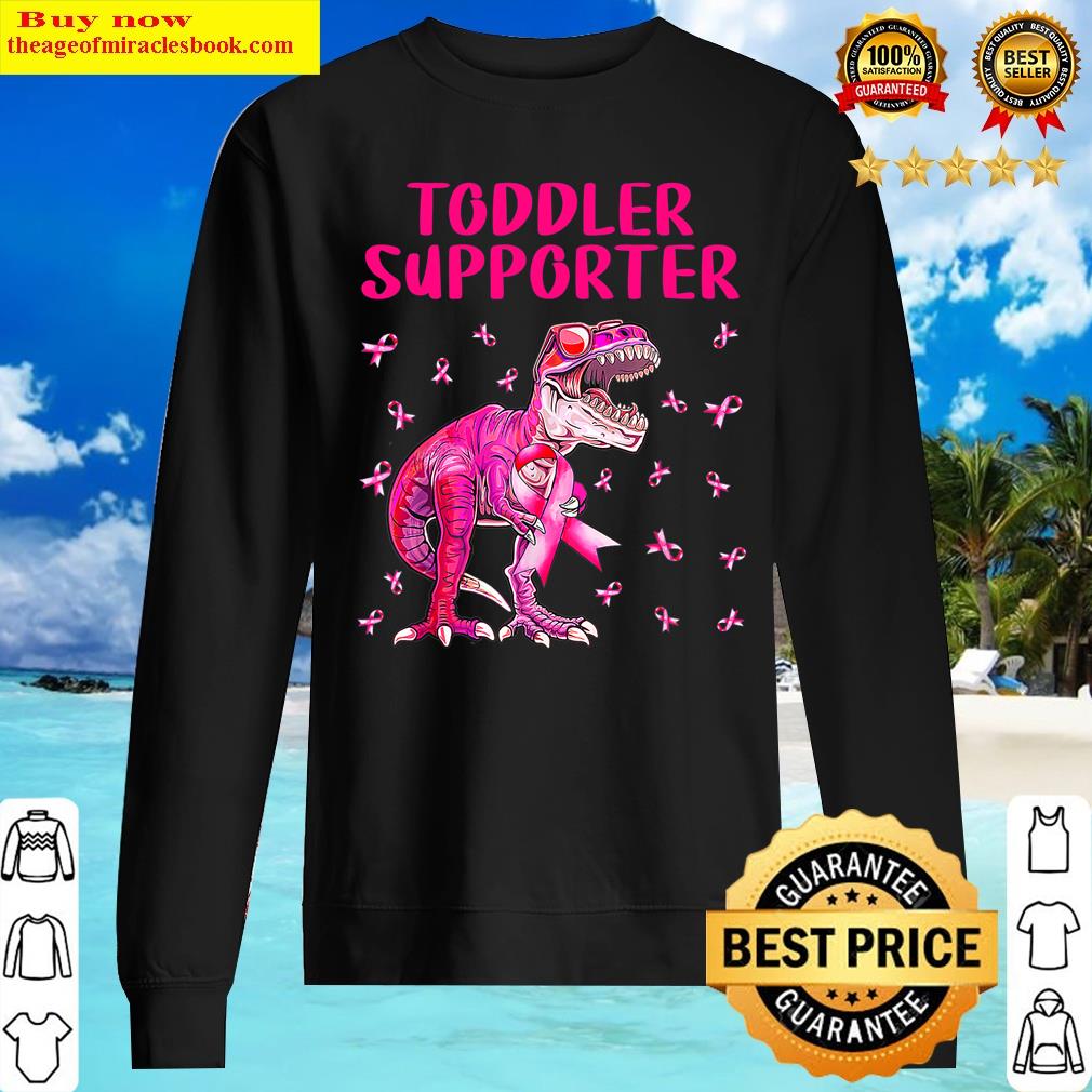 Kids Boys Toddler Supporter T Rex Breast Cancer Awareness Shirt Sweater