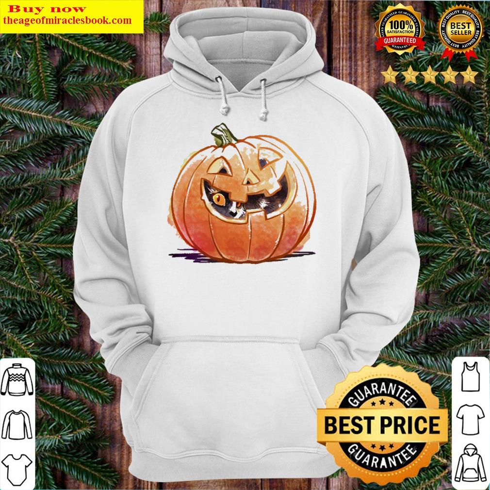 pumpkin spice kitty cat lover halloween classic hoodie