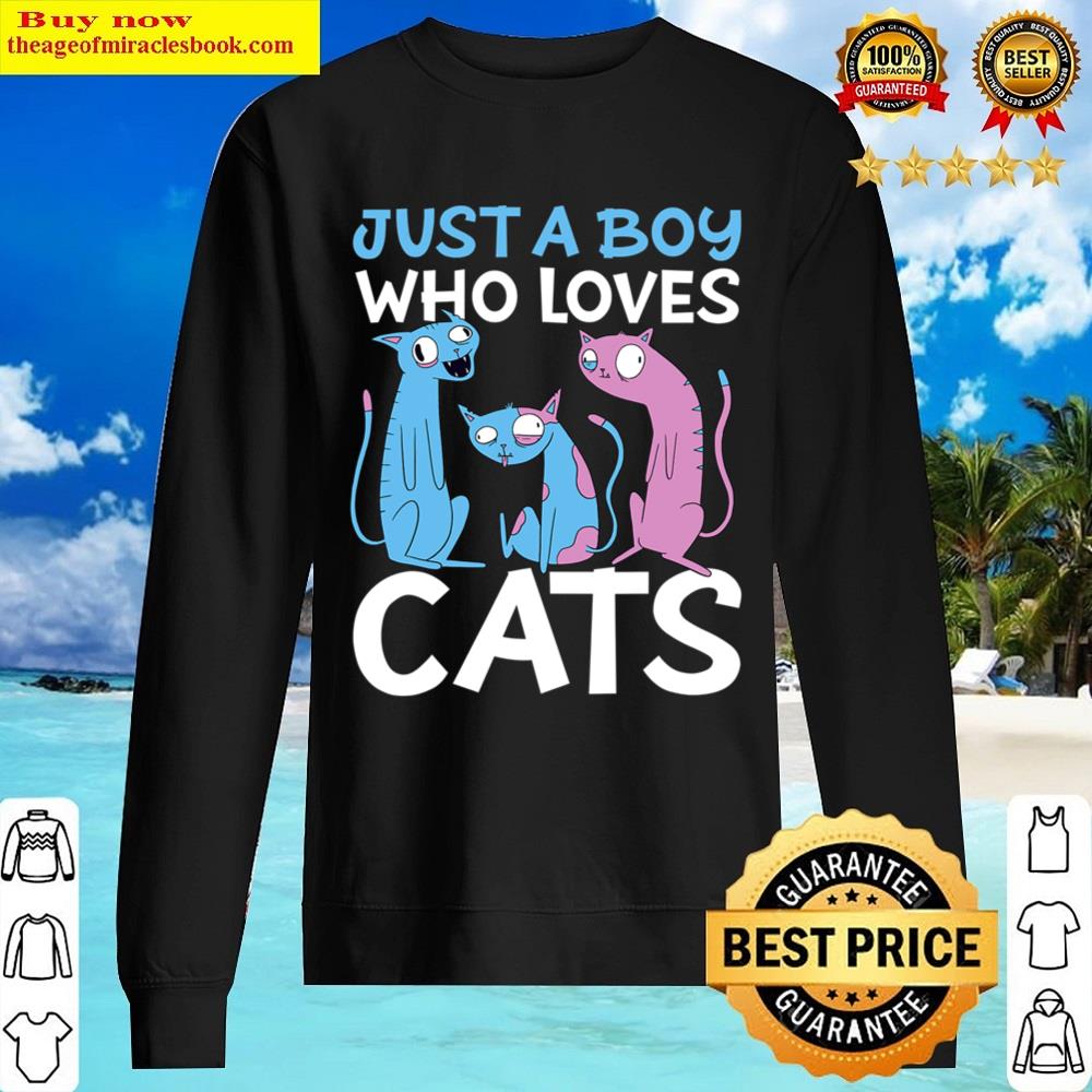 just a boy who loves cats sweater